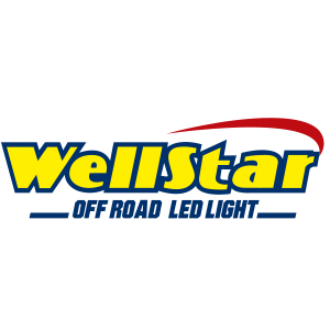 logos_0065_Logo WellStar Original